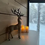 Nordic Star Igloos Chalet Levi