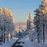 Nordic Star Igloos