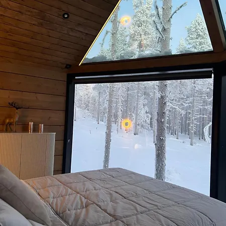 Шале Nordic Star Igloos
