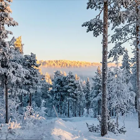 Nordic Star Igloos Chalet