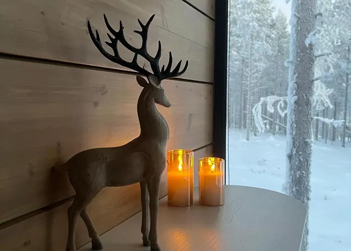 Nordic Star Igloos Chalet Levi